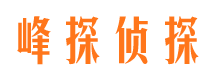 淮南找人公司